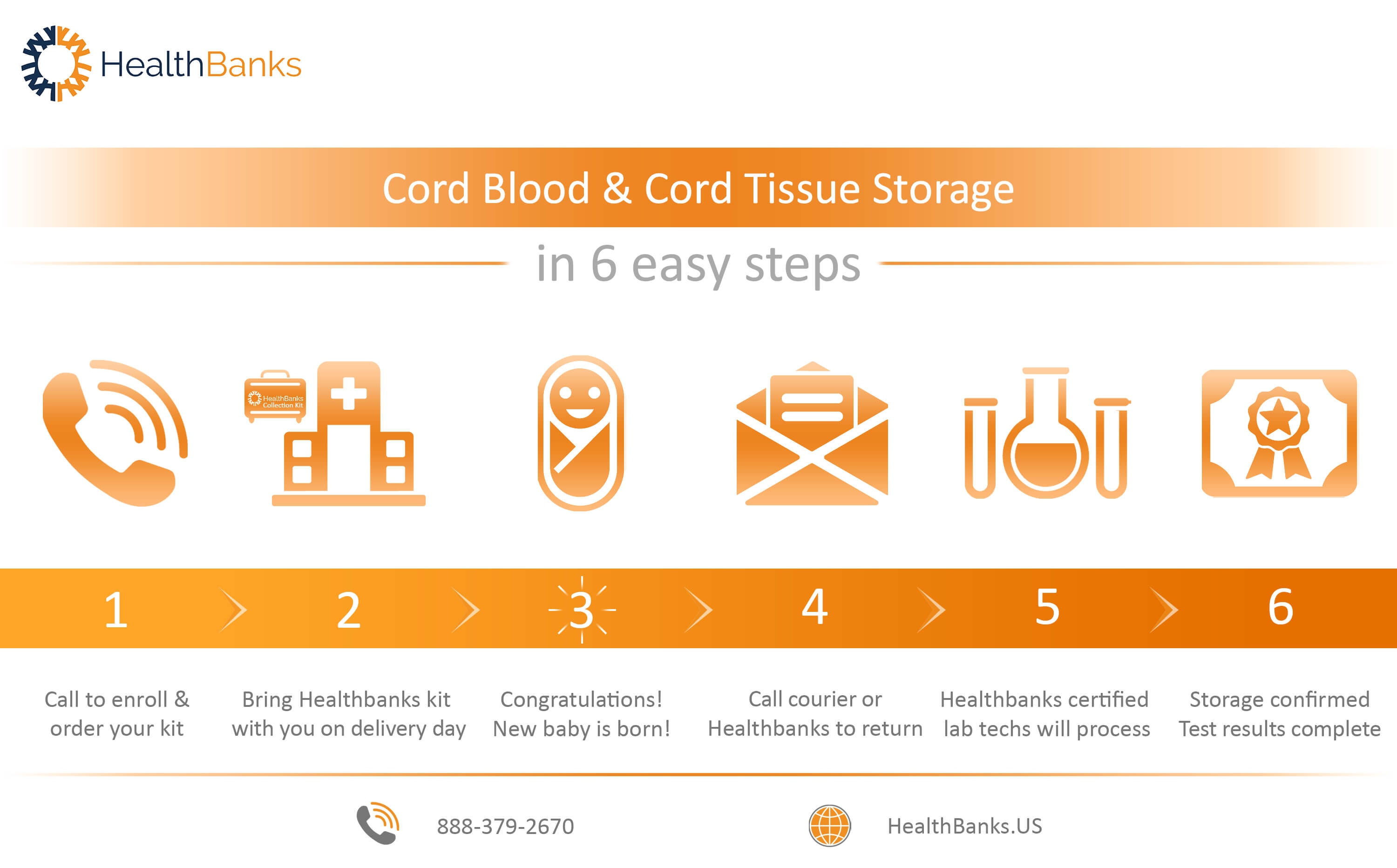 HealthBanks 6 steps for storing cord blood, cord tissue, immune cells