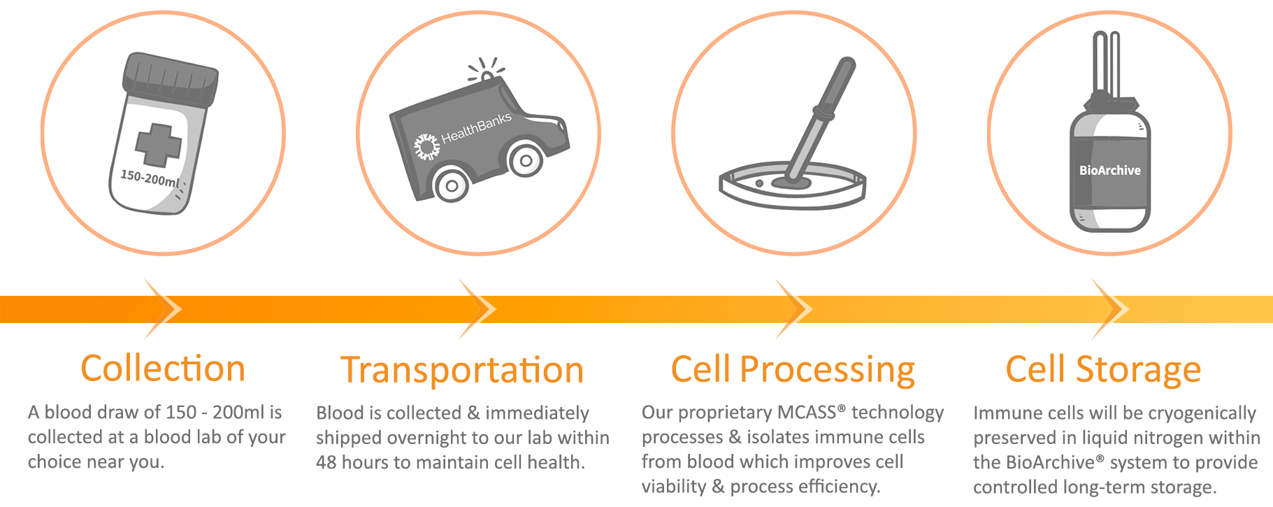Immune Cell Banking Process