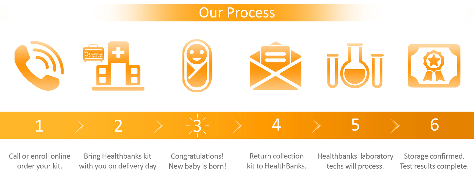 HealthBanks Cord Blood Banking Process