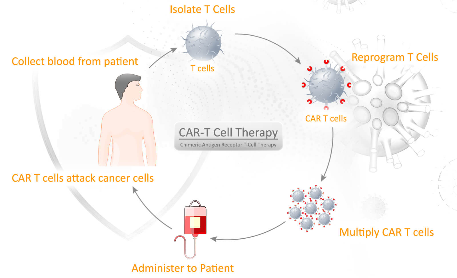 CAR-T-cell-therapy-graphics