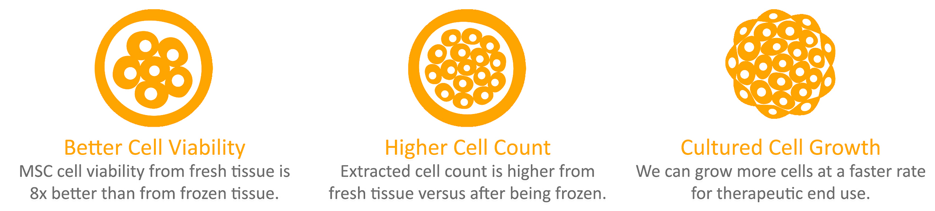HealthBanks-Mesenchymal-Stem-Cells-graphic