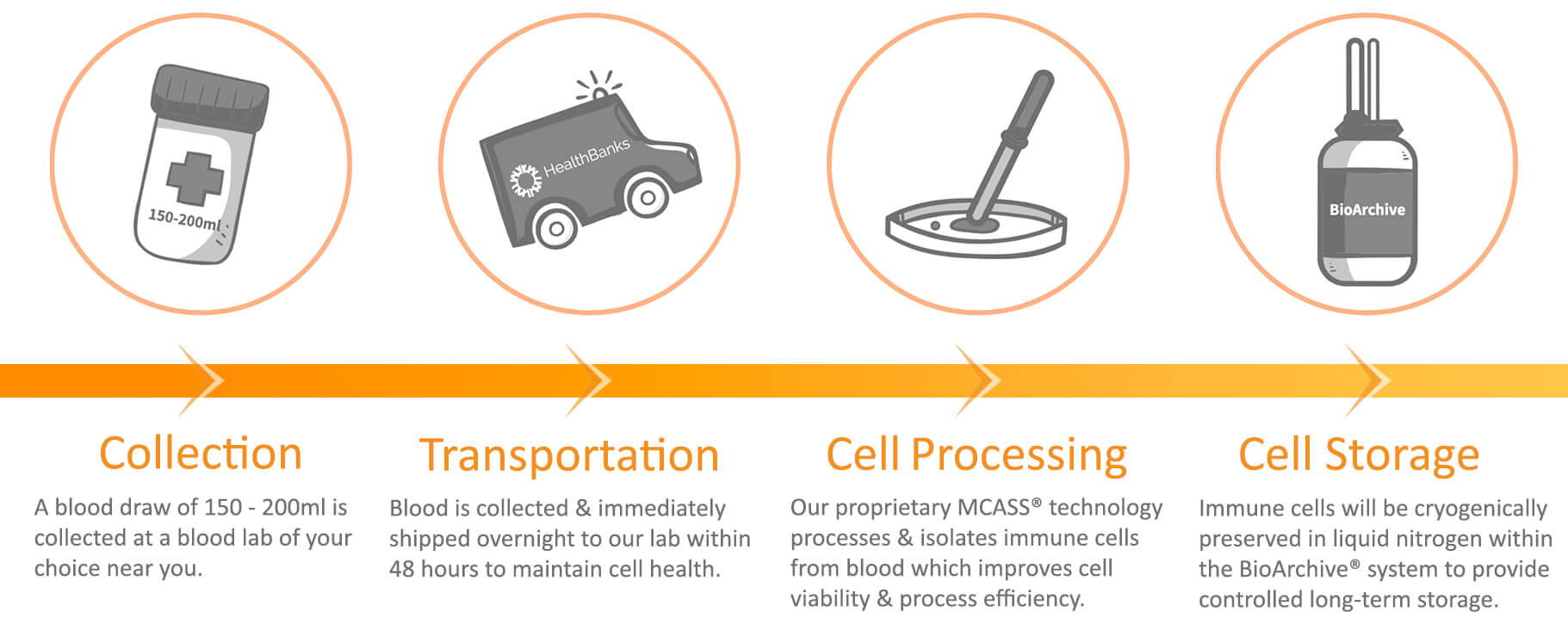 immune-cell-banking-process