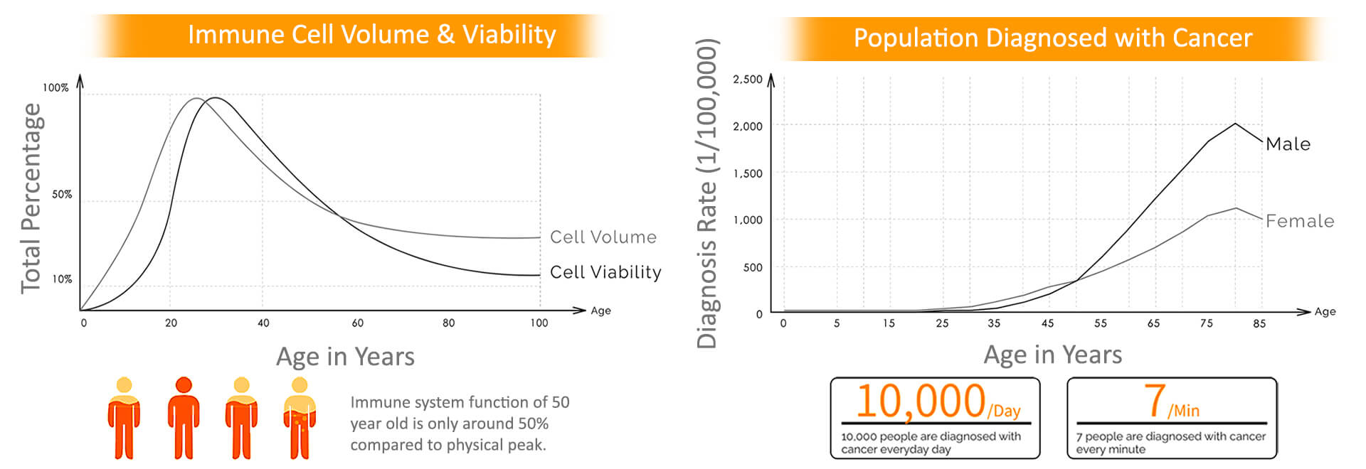 what-is-immune-cell-banking