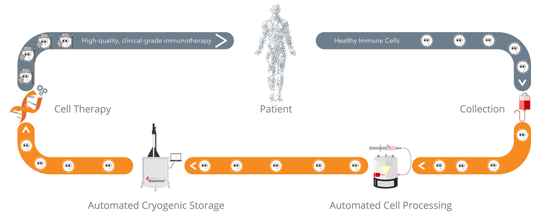 HealthBanks-Immune Cell Banking web