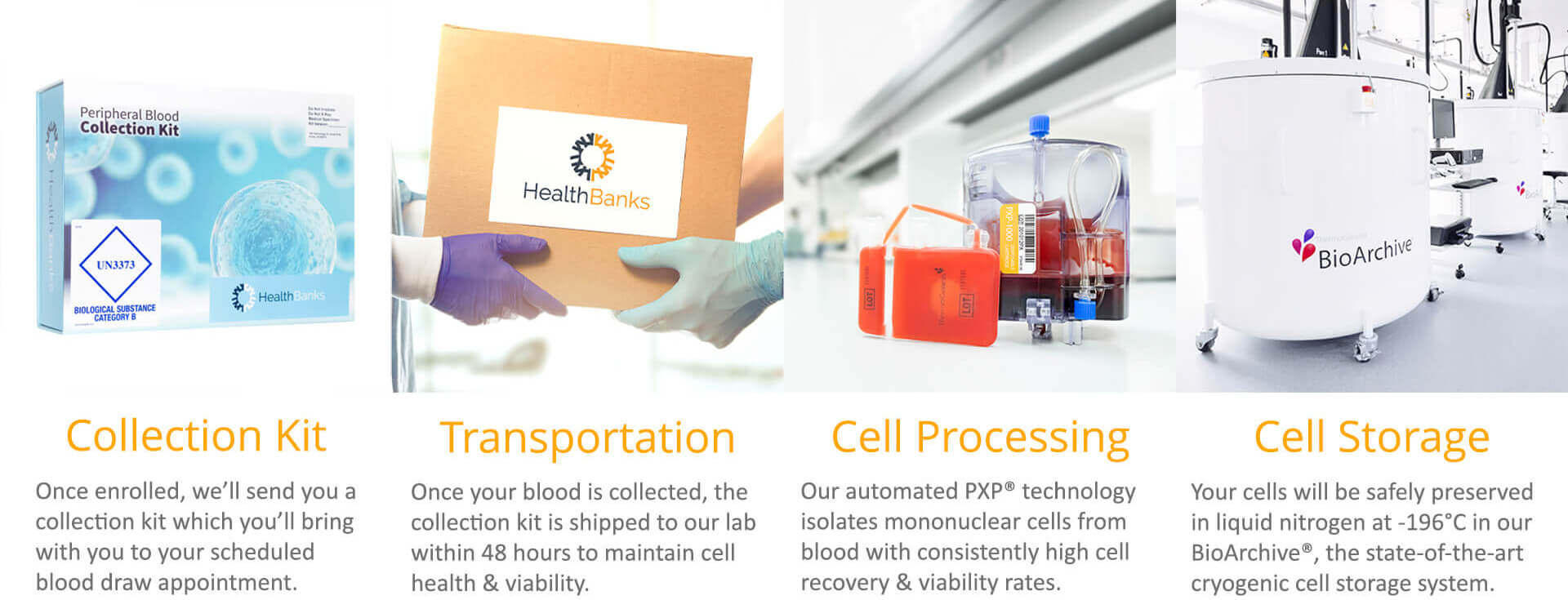 immune-cell-banking-HealthBanks